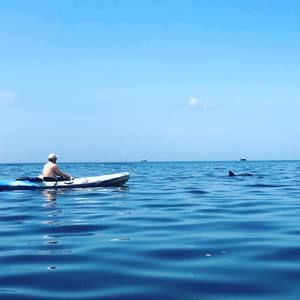 Meet your Posher, Matt